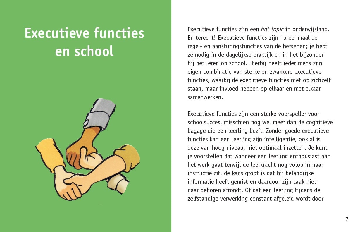 Expertise in Exekutivfunktionen – Gruppen 5 bis 8