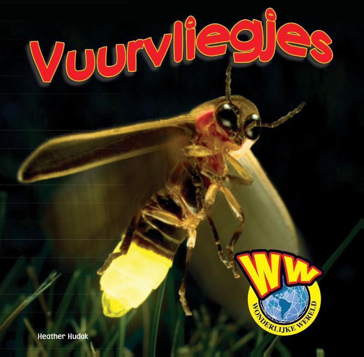 Wonderlijke wereld - Vuurvliegjes