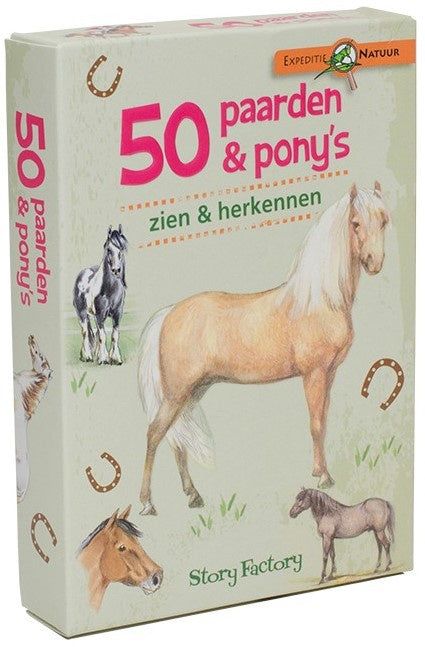 50 Pferde und Ponys sehen und erkennen