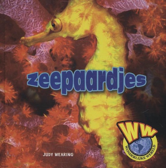 Wunderbare Welt - Seepferdchen