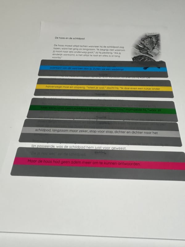 Leesliniaal met gekleurd venster (19 x 3 cm) set van 8 kleuren