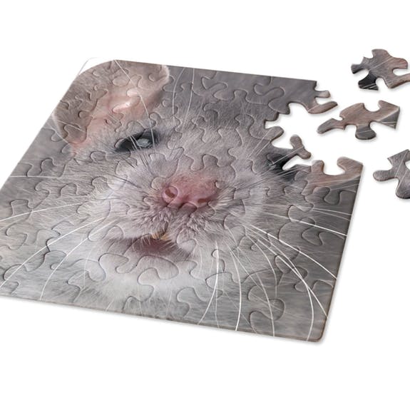 Curiosi Q-Puzzle (schwierige Teile) – Tier – Maus (49 Teile)