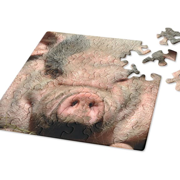 Curiosi Q-Puzzle (schwierige Teile) – Tier – Schwein (49 Teile)