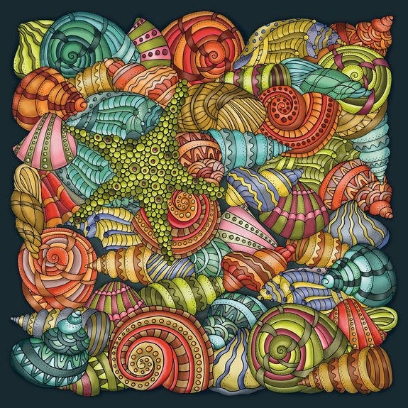 Curiosi Palapeli - Puzzel schelpen