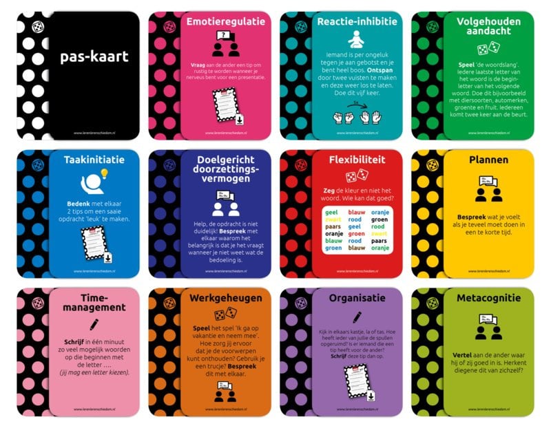 Het Executieve Functies Spel