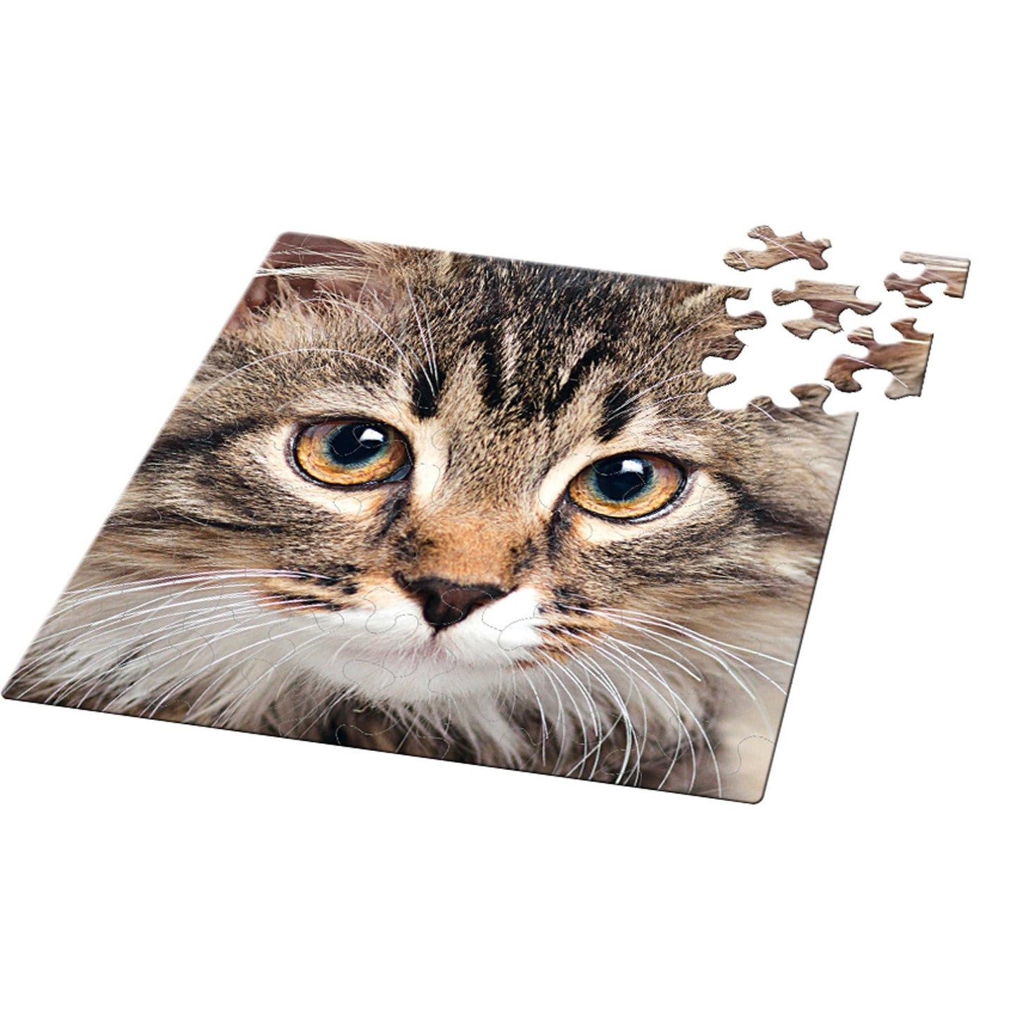 Curiosi Q-puzzel (moeilijke stukjes) - Dier - Kat (66 stukjes)