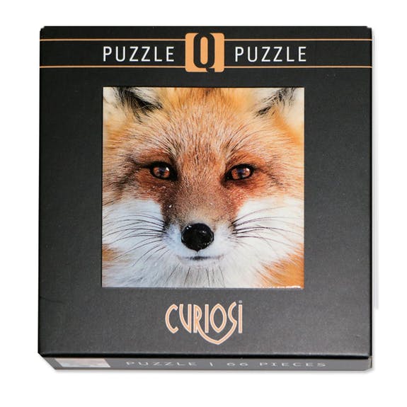 Curiosi Q-Puzzle (schwierige Teile) - Vorteilspackung Tiere 1 (4 Stk.)