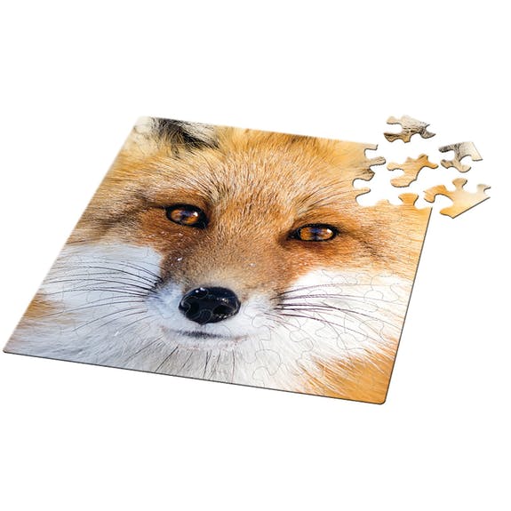 Curiosi Q-Puzzle (schwierige Teile) – Tier – Fuchs (66 Teile)