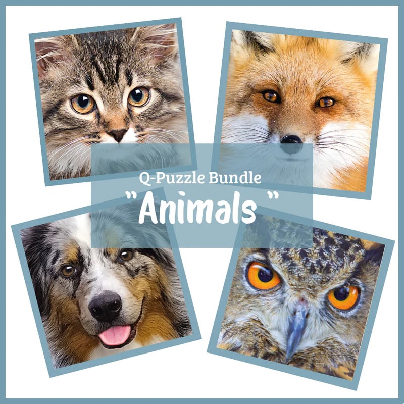 Curiosi Q-Puzzle (schwierige Teile) - Vorteilspackung Tiere 1 (4 Stk.)