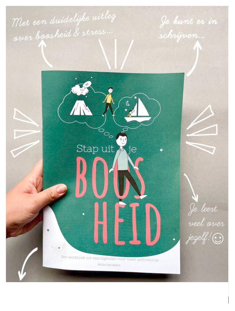 Arbeitsbuch „Treten Sie aus Ihrer Wut heraus“