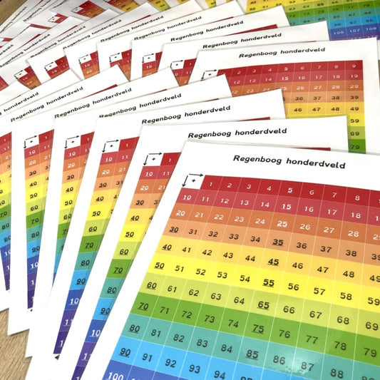 Regenboog 100-veld wisbordje klassenset (30 st.)