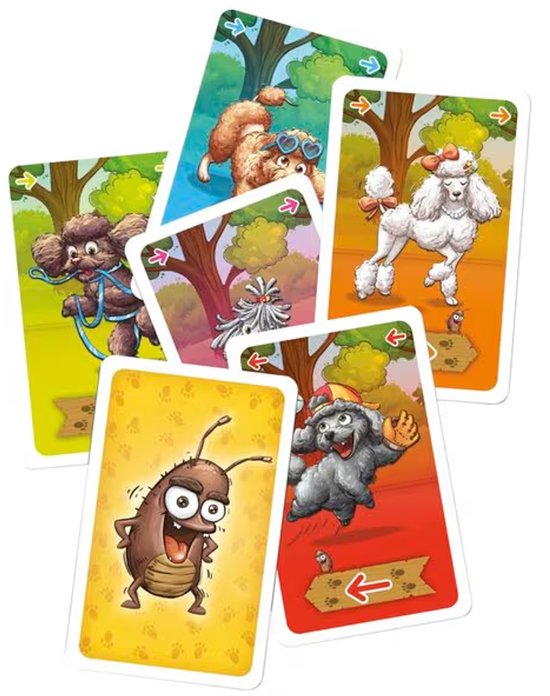 Voordeelset: Poedel Taxi (7+) en Flash 10 (8+)