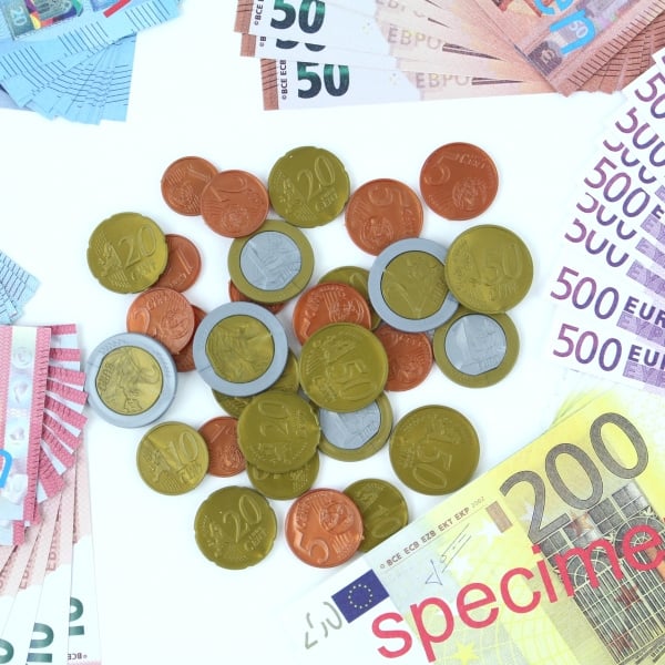 Speelgeld Euro's, set van 114 stuks