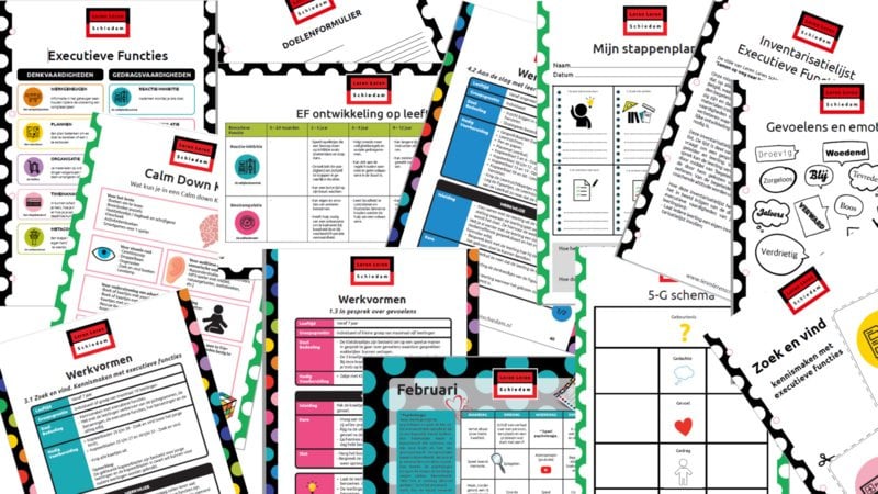 Kopieermap - Werken aan Executieve Vaardigheden BO