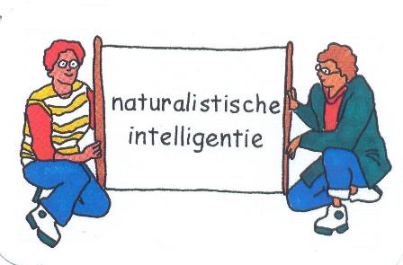 Multiintelligent? Kartenspiel