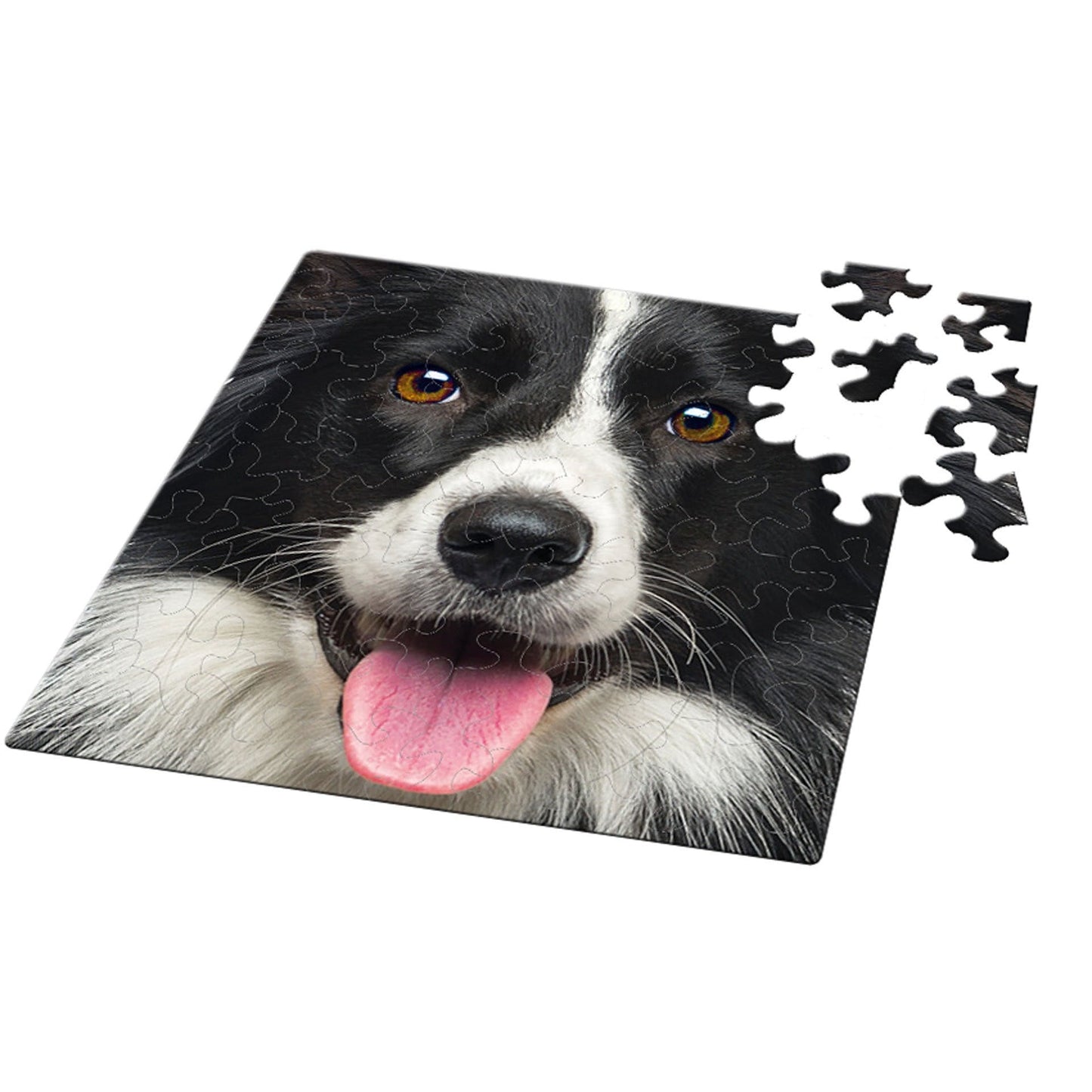 Curiosi Q-puzzel (moeilijke stukjes) - Dier - Hond (66 stukjes)