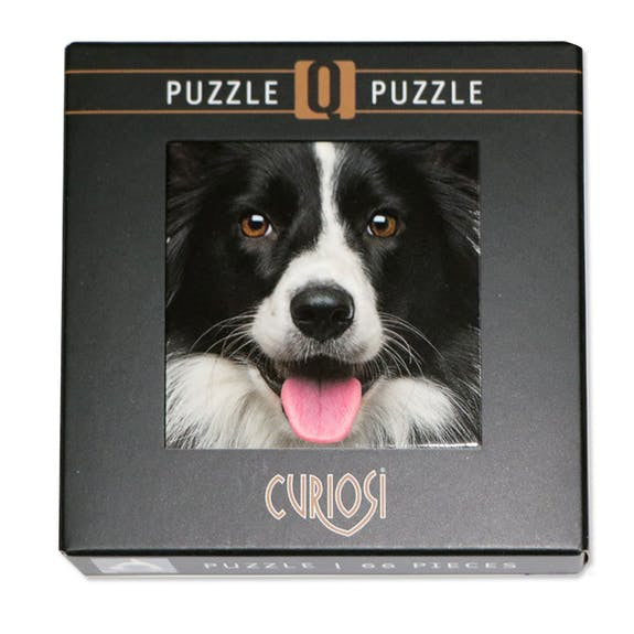 Curiosi Q-puzzel (moeilijke stukjes) - Dier - Hond (66 stukjes)