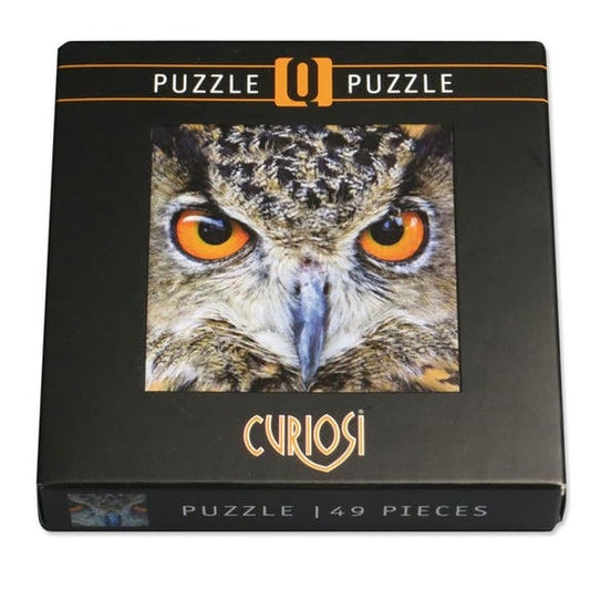 Curiosi Q-puzzel (moeilijke stukjes) - Dier - Uil (66 stukjes)